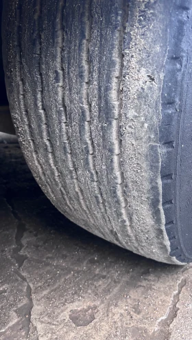  Schwarzmuller ,  ! | Mobile.bg    8