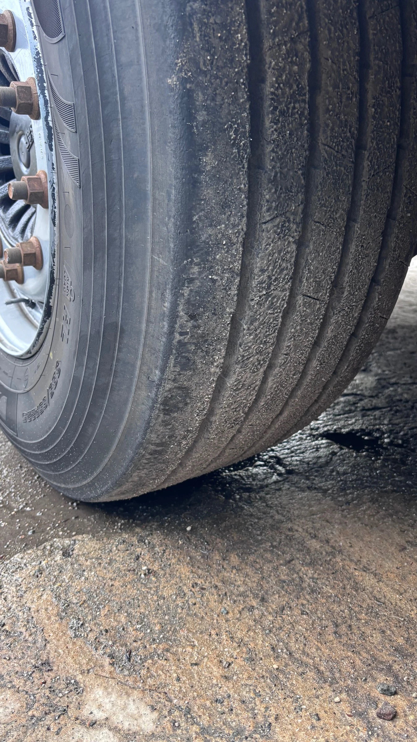  Schwarzmuller ,  ! | Mobile.bg   6