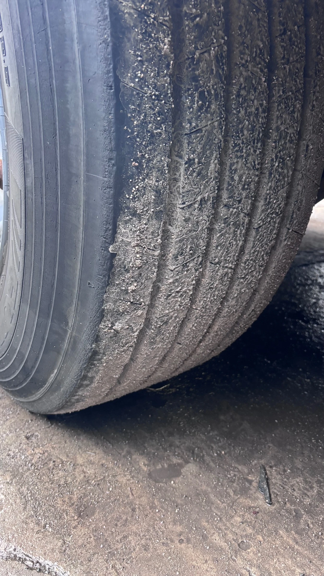  Schwarzmuller ,  ! | Mobile.bg   7