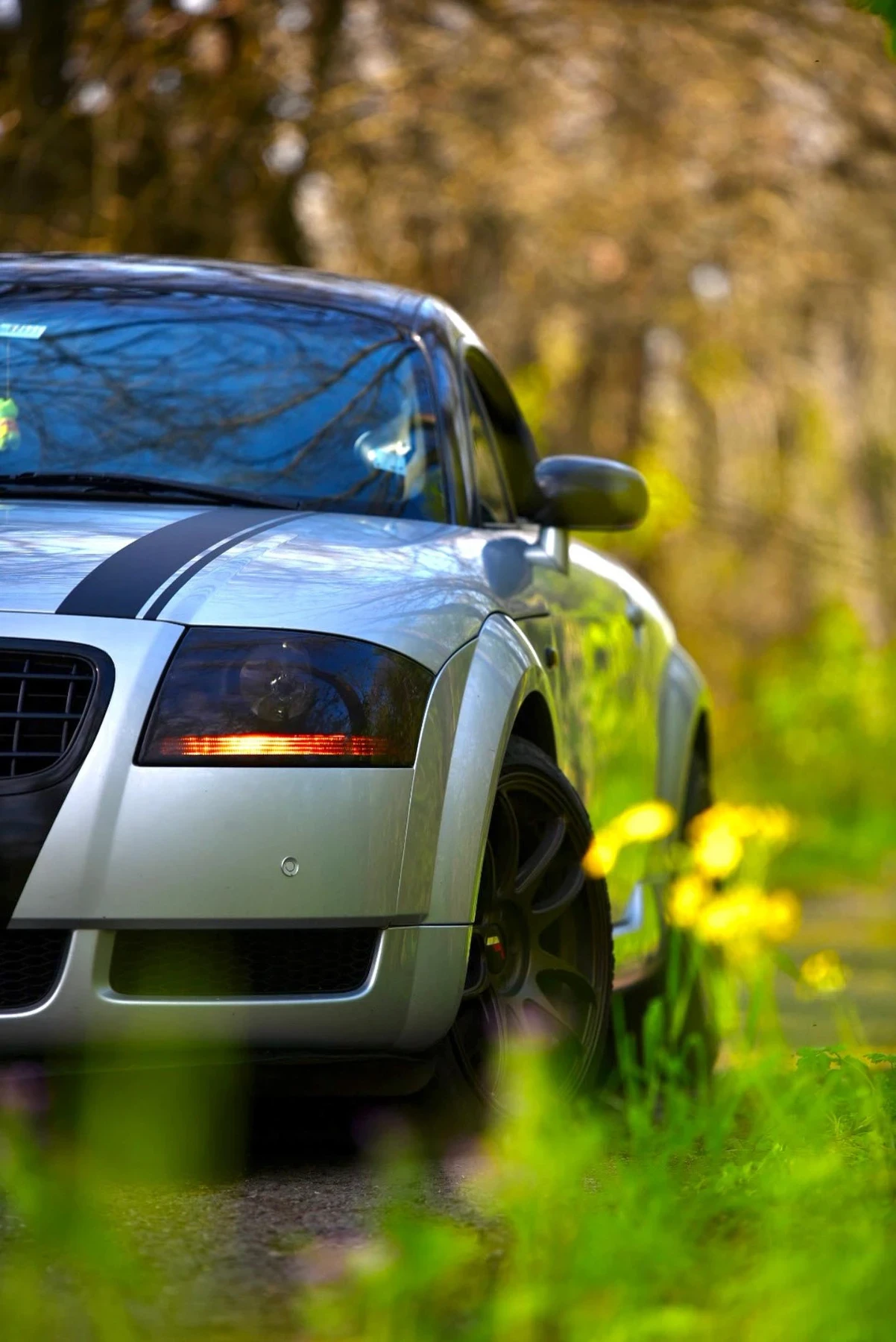 Audi Tt 1.8T APX 225к.с. QUATTRO , снимка 1