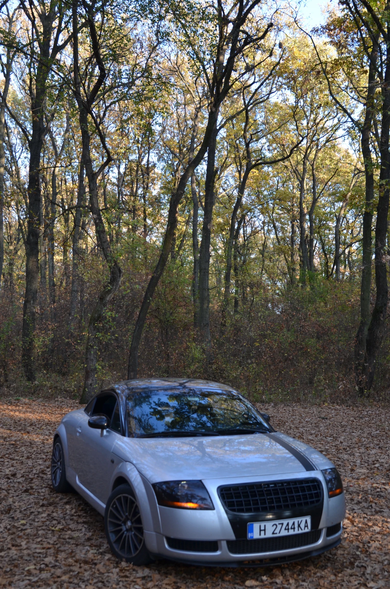 Audi Tt 1.8T APX 225к.с. QUATTRO  - изображение 4