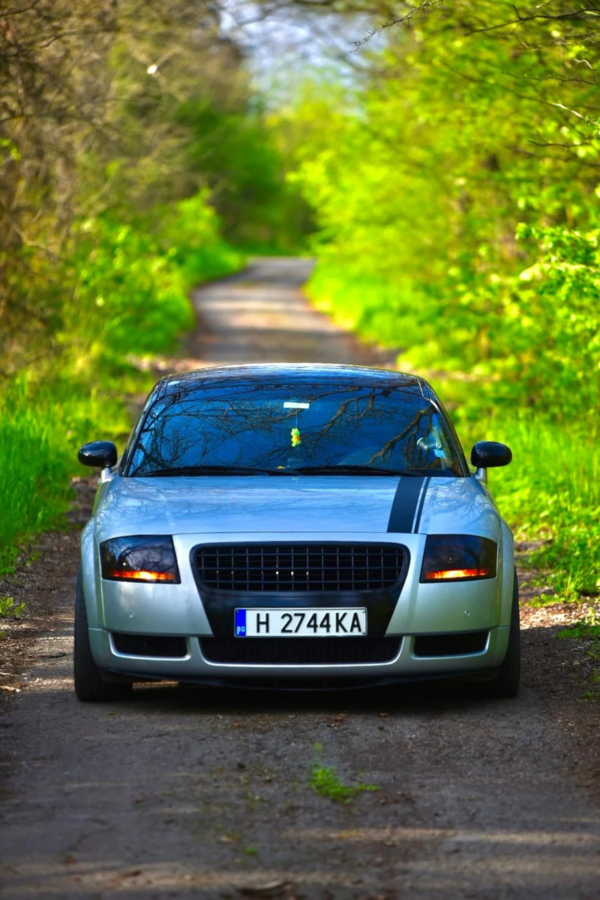 Audi Tt 1.8T APX 225к.с. QUATTRO  - изображение 2