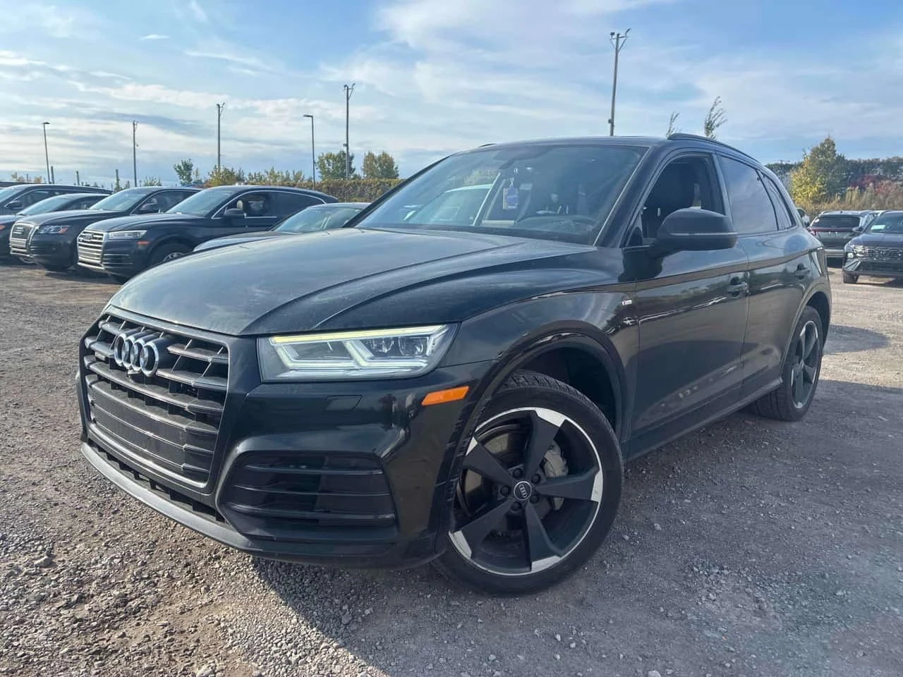 Audi Q5 Progressiv | CARFAX | OT ПРЕДСТАВИТЕЛСТВО НА AUDI