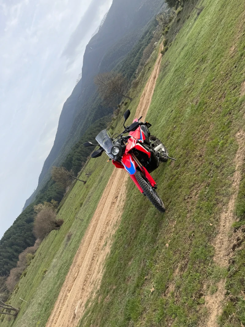 Honda Crf 300 rally, снимка 6 - Мотоциклети и мототехника - 53134914
