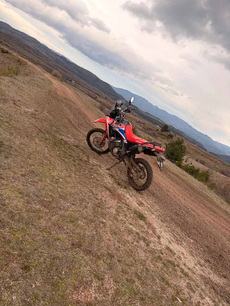 Honda Crf 300 rally, снимка 7 - Мотоциклети и мототехника - 53134914