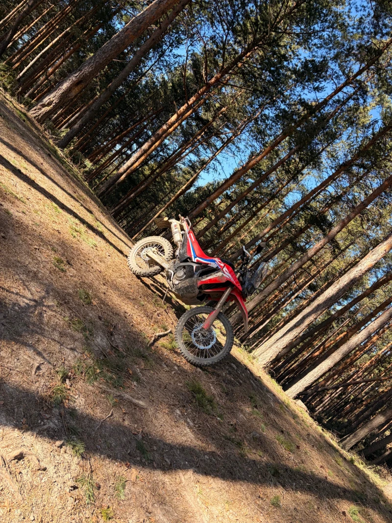 Honda Crf 300 rally, снимка 10 - Мотоциклети и мототехника - 53134914