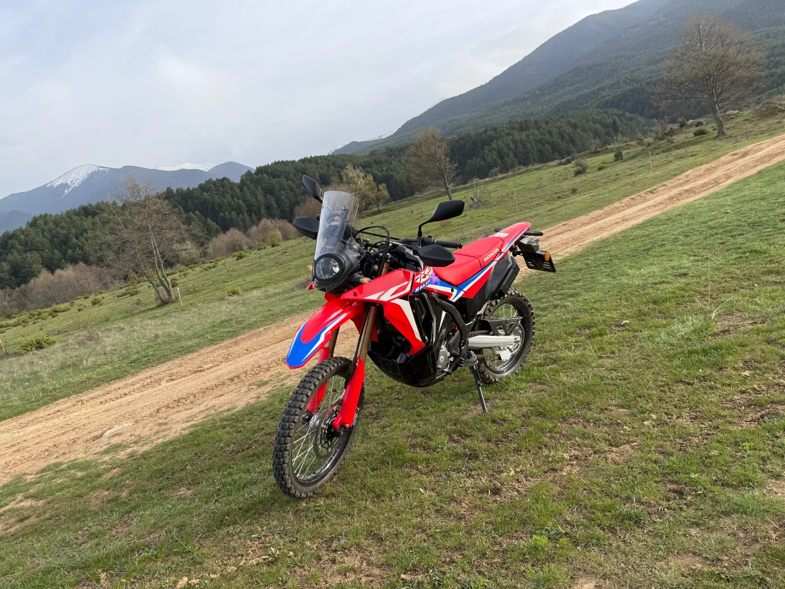 Honda Crf 300 rally - изображение 5