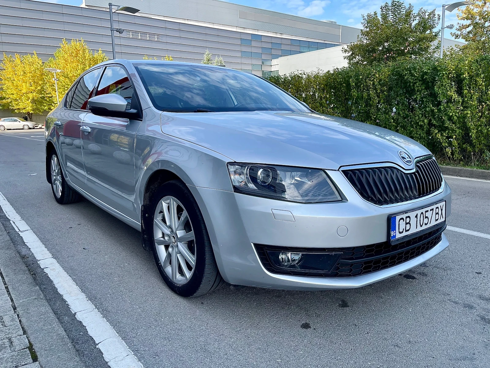 Skoda Octavia TDI DSG - изображение 3