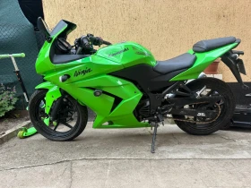     Kawasaki Ninja 250R