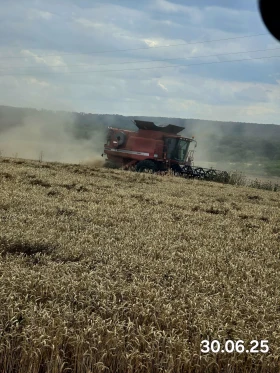      CASE IH 2388 E