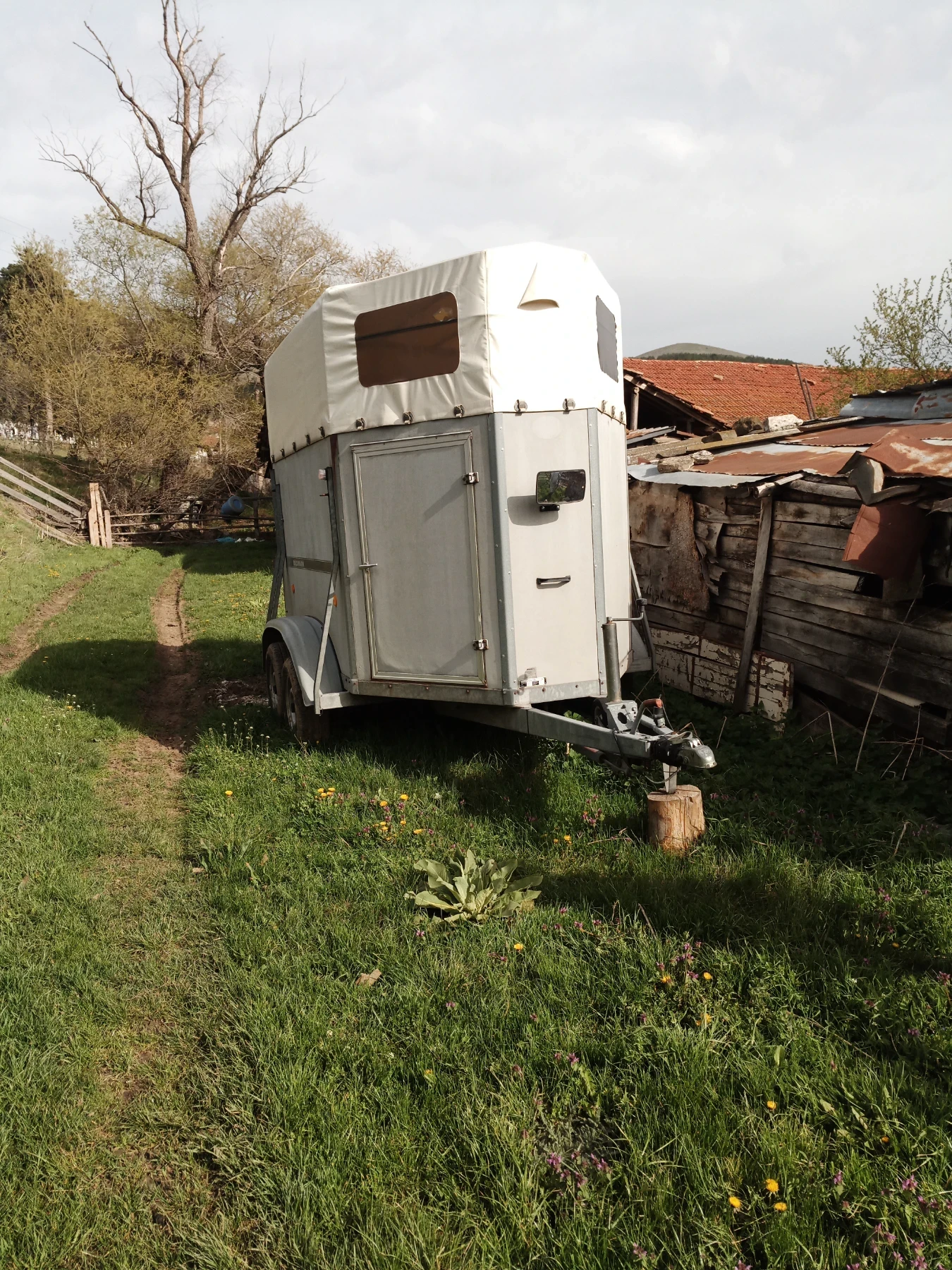 �������� Bockmann | Mobile.bg � ����������� 1