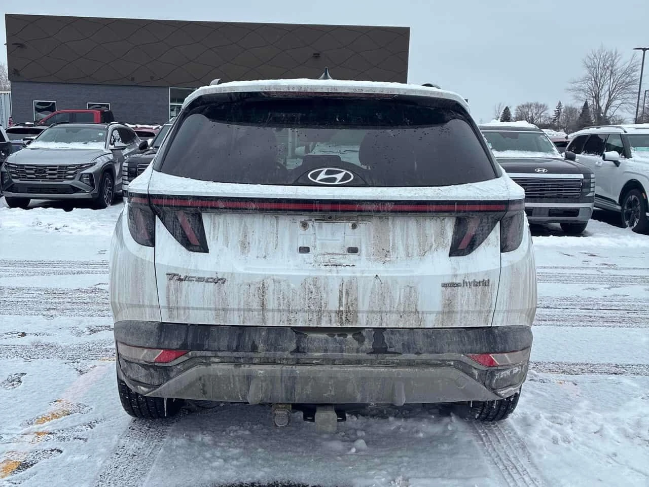 Hyundai Tucson * Luxury * CARFAX * KEYLESS * СЛЕДЕНЕ НА ЛЕНТИ, снимка 4 - Автомобили и джипове - 54430053