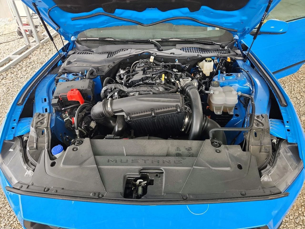 Ford Mustang 2.3l, снимка 11 - Автомобили и джипове - 56107963