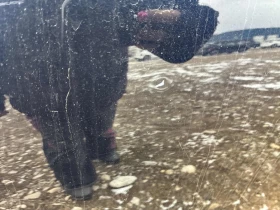 BMW X7 M-pkg* Distronic* Harmon/Kardon* Подгрев* 360Камер, снимка 13