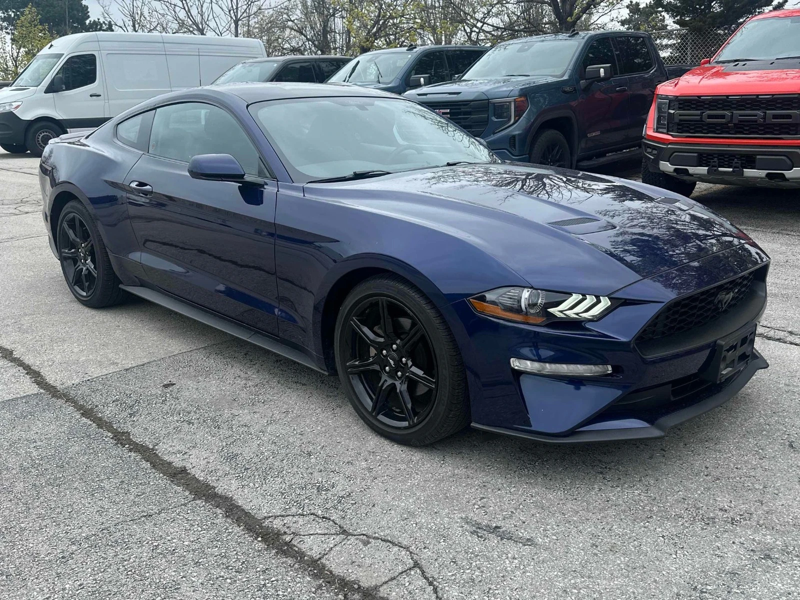 Ford Mustang ECOBOOST 
