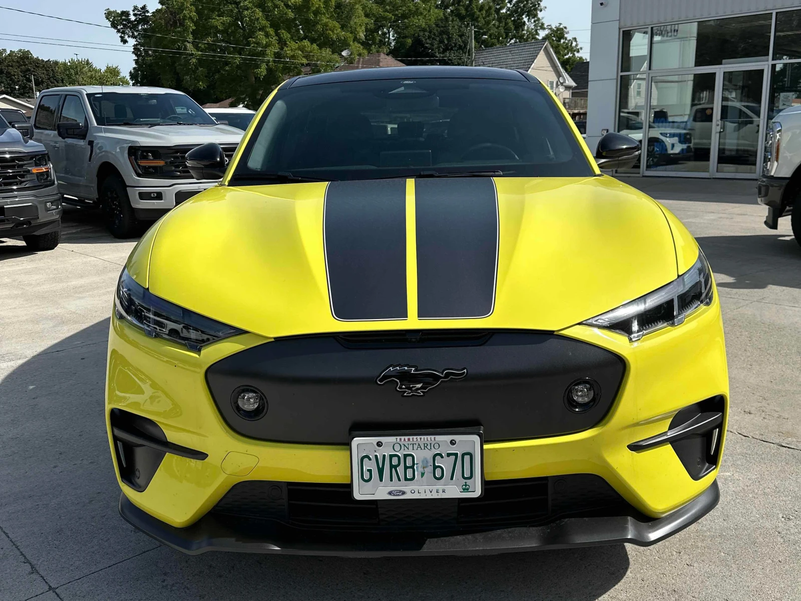 Ford Mustang Mach-E * GT * АВТОКРЕДИТ БЕЗ ПЪРВОНАЧАЛНА ВНОСКА* , снимка 6 - Автомобили и джипове - 56004053