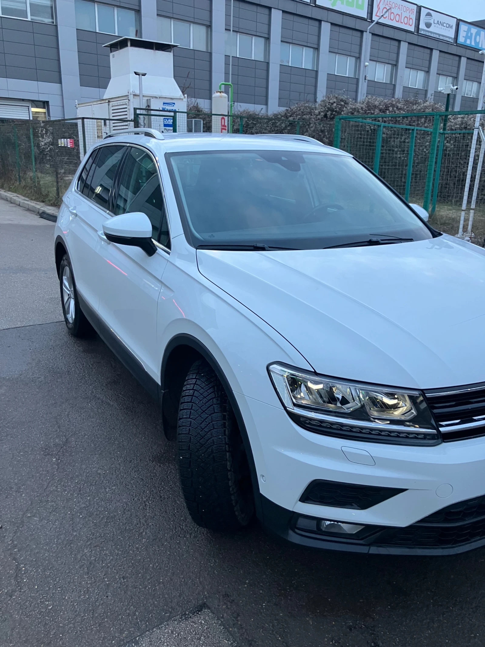 VW Tiguan  - изображение 4