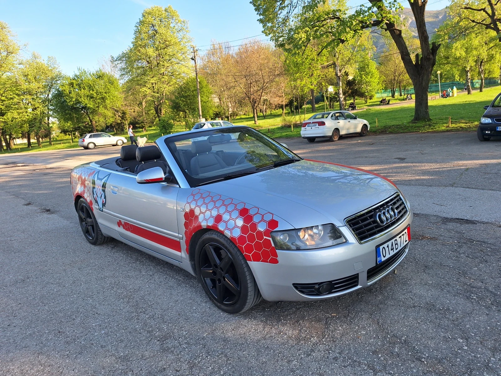 Audi A4 2.5TDI 163kc ������� ��������/������ | Mobile.bg � ����������� 12