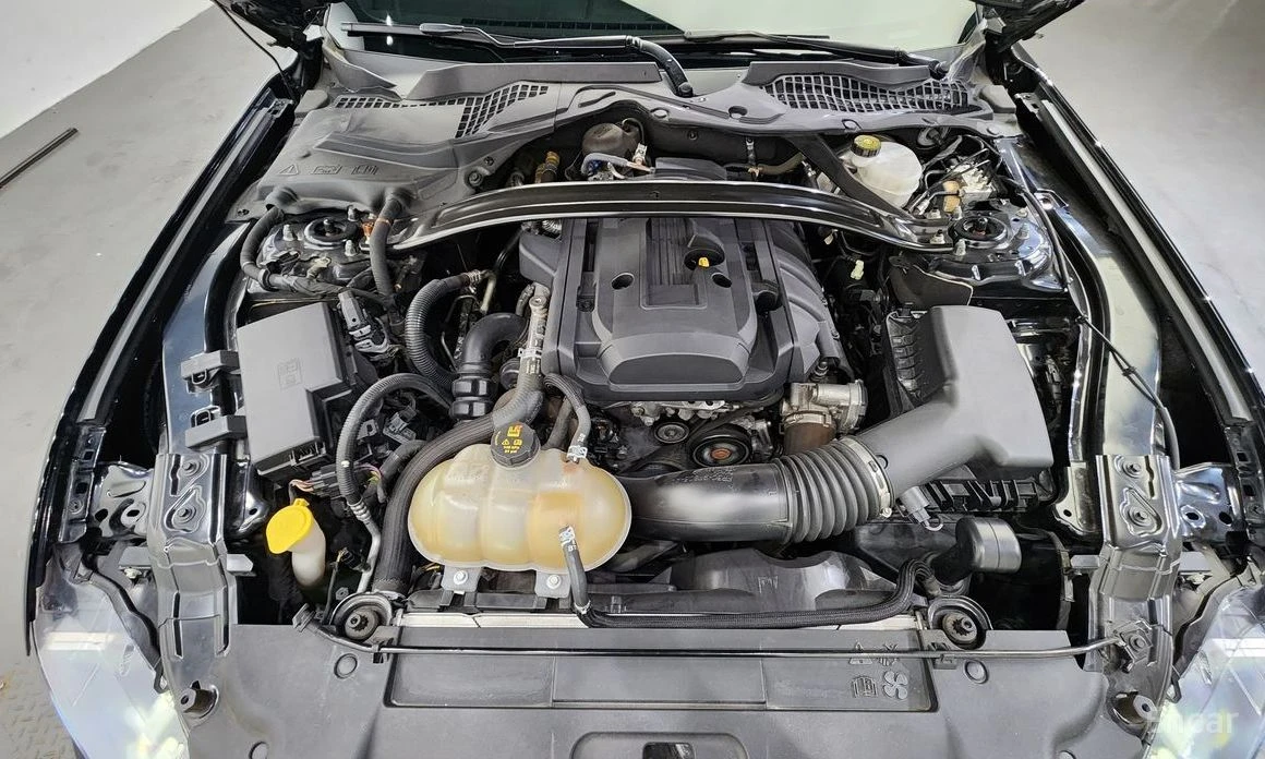 Ford Mustang  - изображение 6