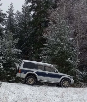 Mitsubishi Pajero, снимка 3