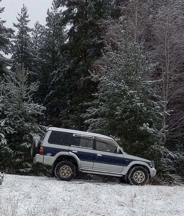 Mitsubishi Pajero, снимка 3 - Автомобили и джипове - 56639229