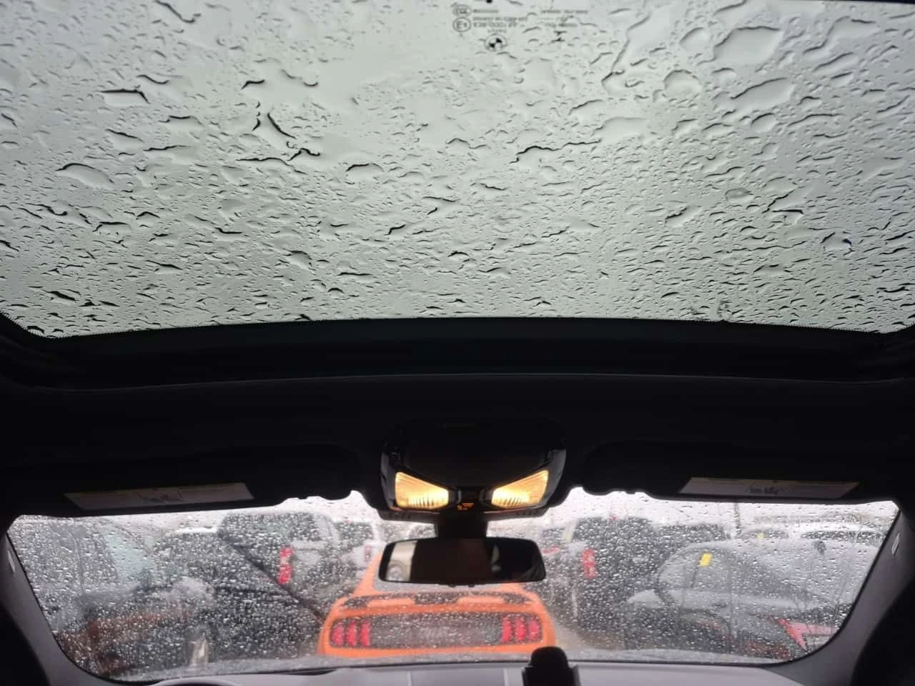 BMW X4 xDrive30i  CARFAX, снимка 11 - Автомобили и джипове - 54369757