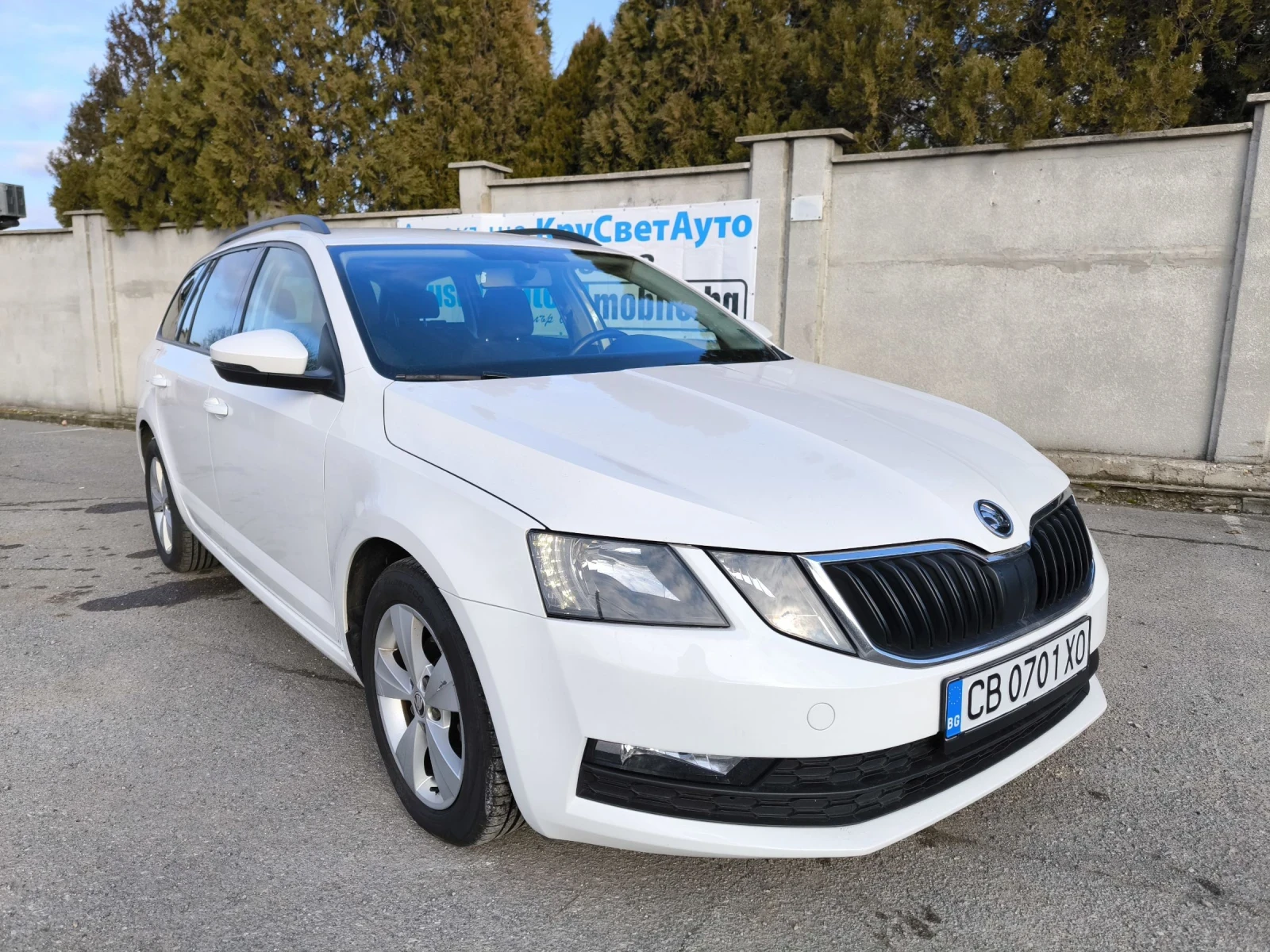 Skoda Octavia 2018 TDI Годишна винетка, снимка 1