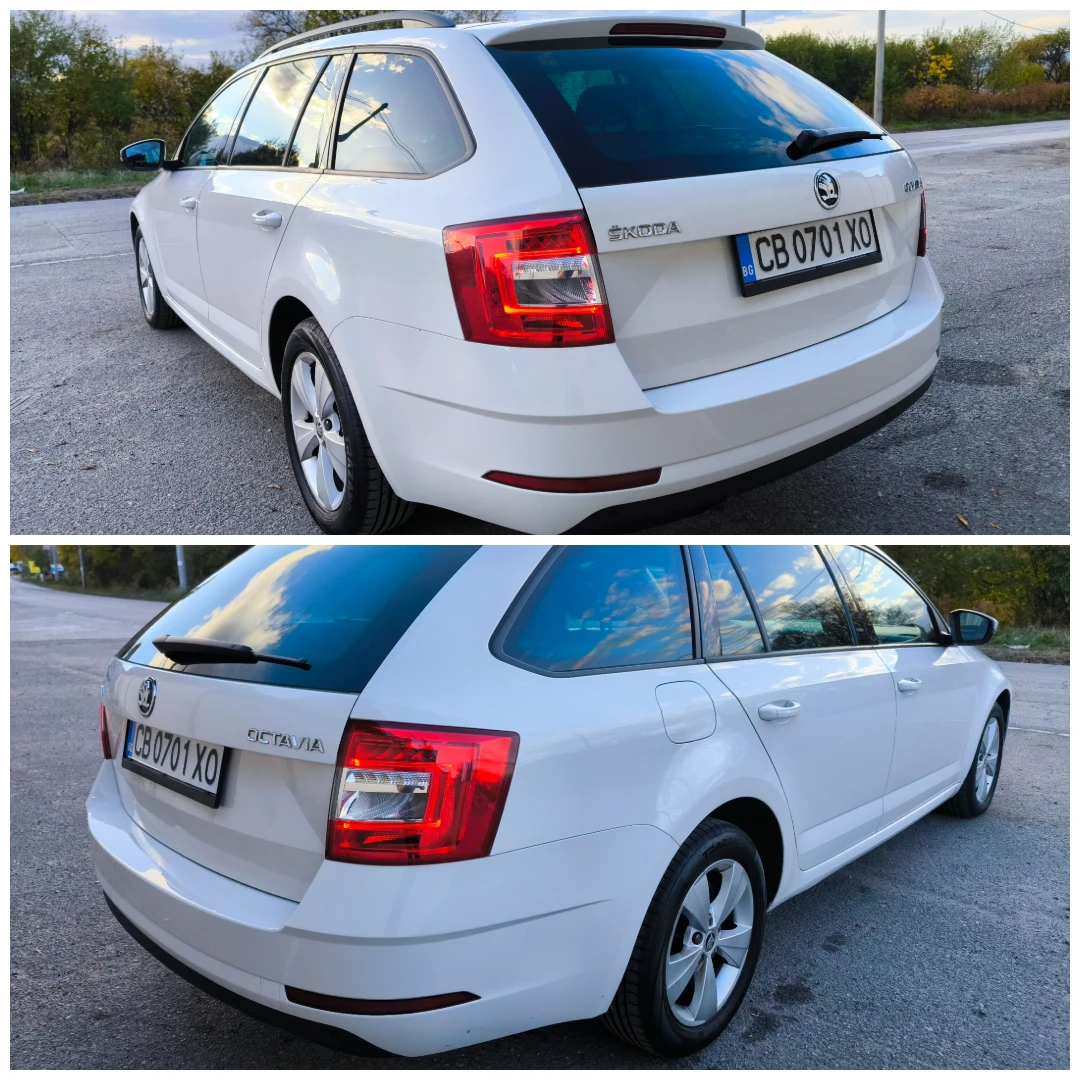 Skoda Octavia 1.6 TDI ГО + винетка | Mobile.bg — изображение 3