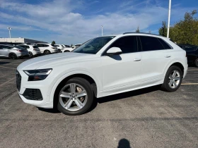 Audi Q8 Progressiv  CARFAX