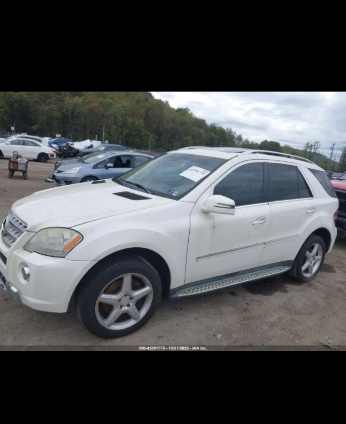 Mercedes-Benz ML 500 Ml550 AMG PACKAGE  | Mobile.bg   3