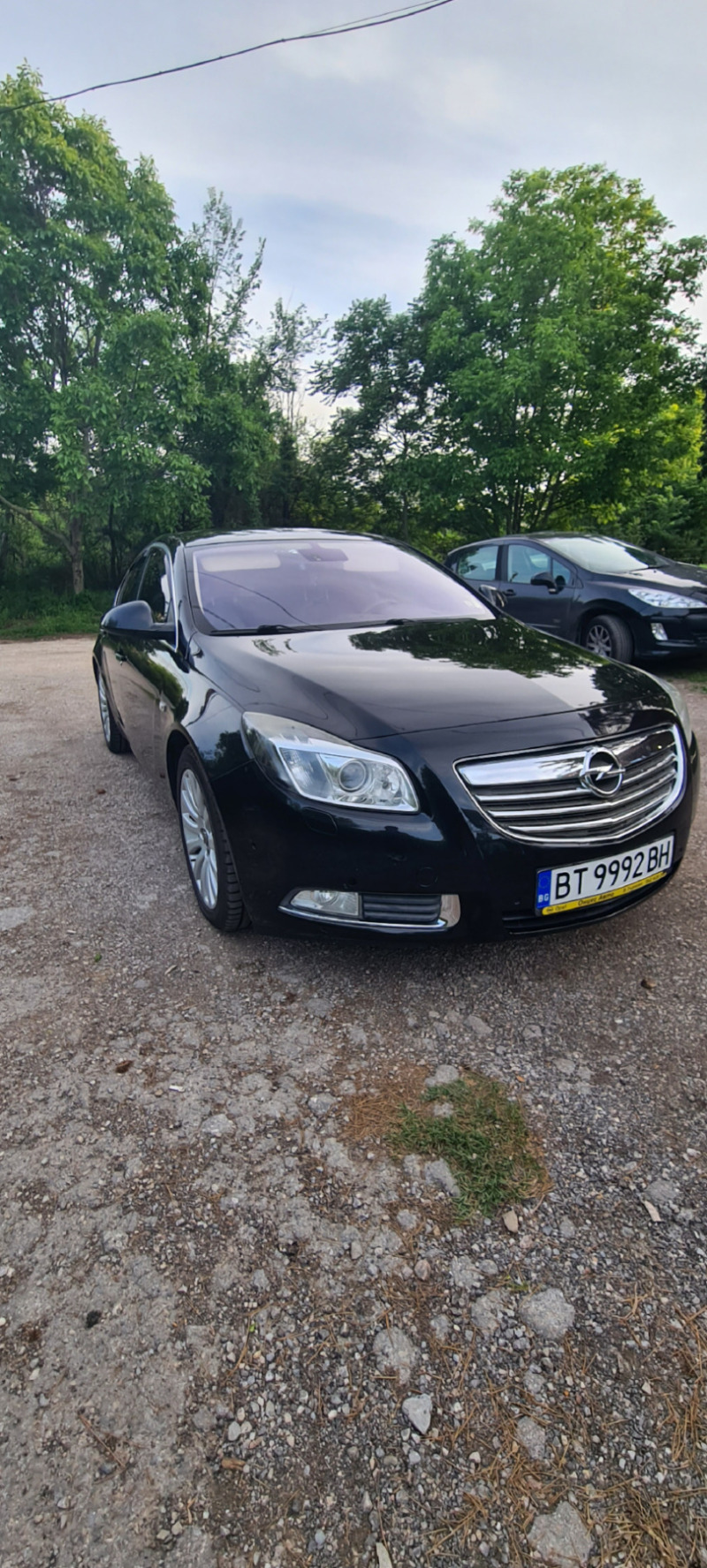 Opel Insignia 2.0 , снимка 1 - Автомобили и джипове - 45925871