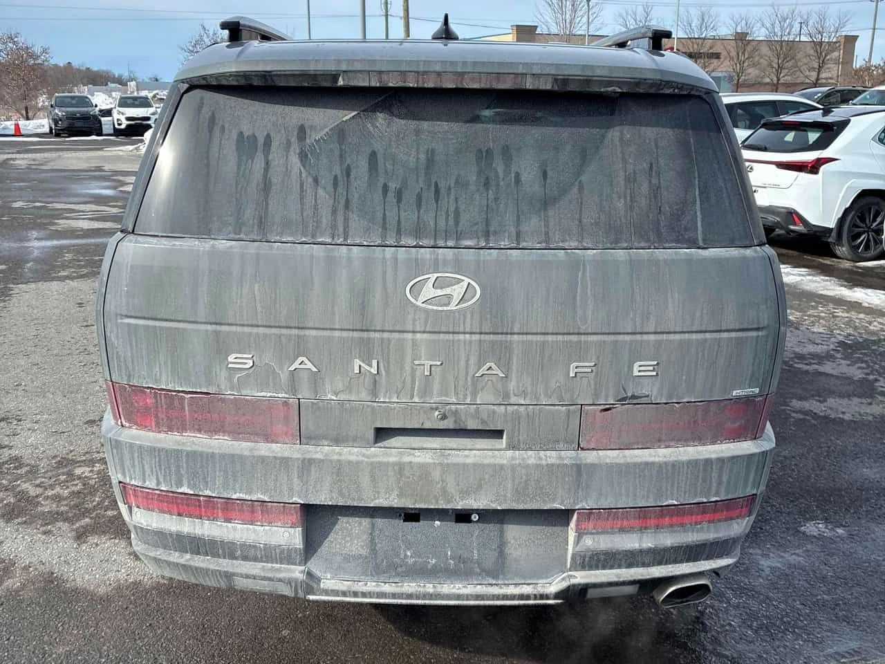 Hyundai Santa fe Luxury /360/DIS/PANO/NAVI/ОБДУХВАНЕ - изображение 4