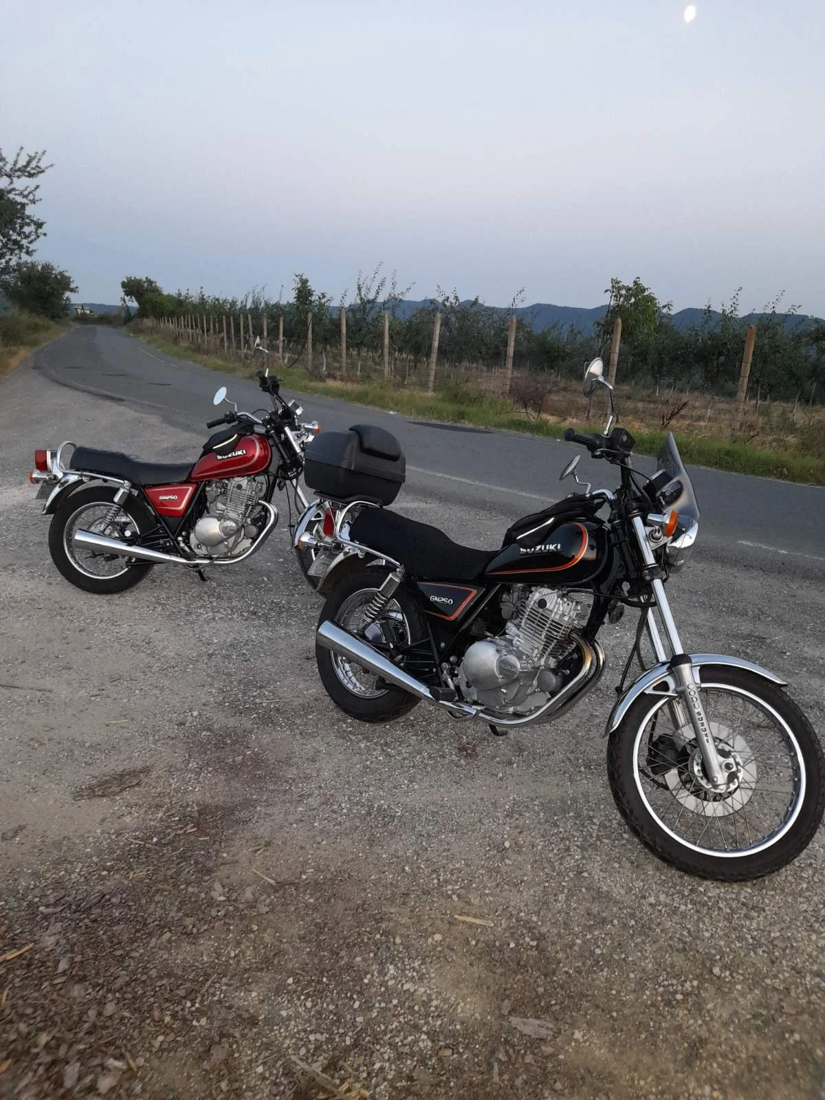 Suzuki GN 250 - изображение 3