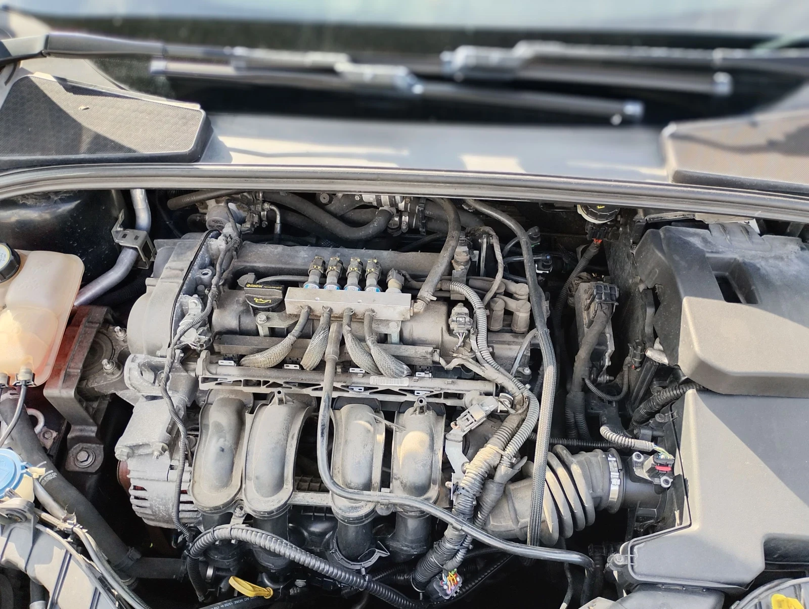 Ford Focus 1.6 i BRC газ, снимка 6 - Автомобили и джипове - 54761316