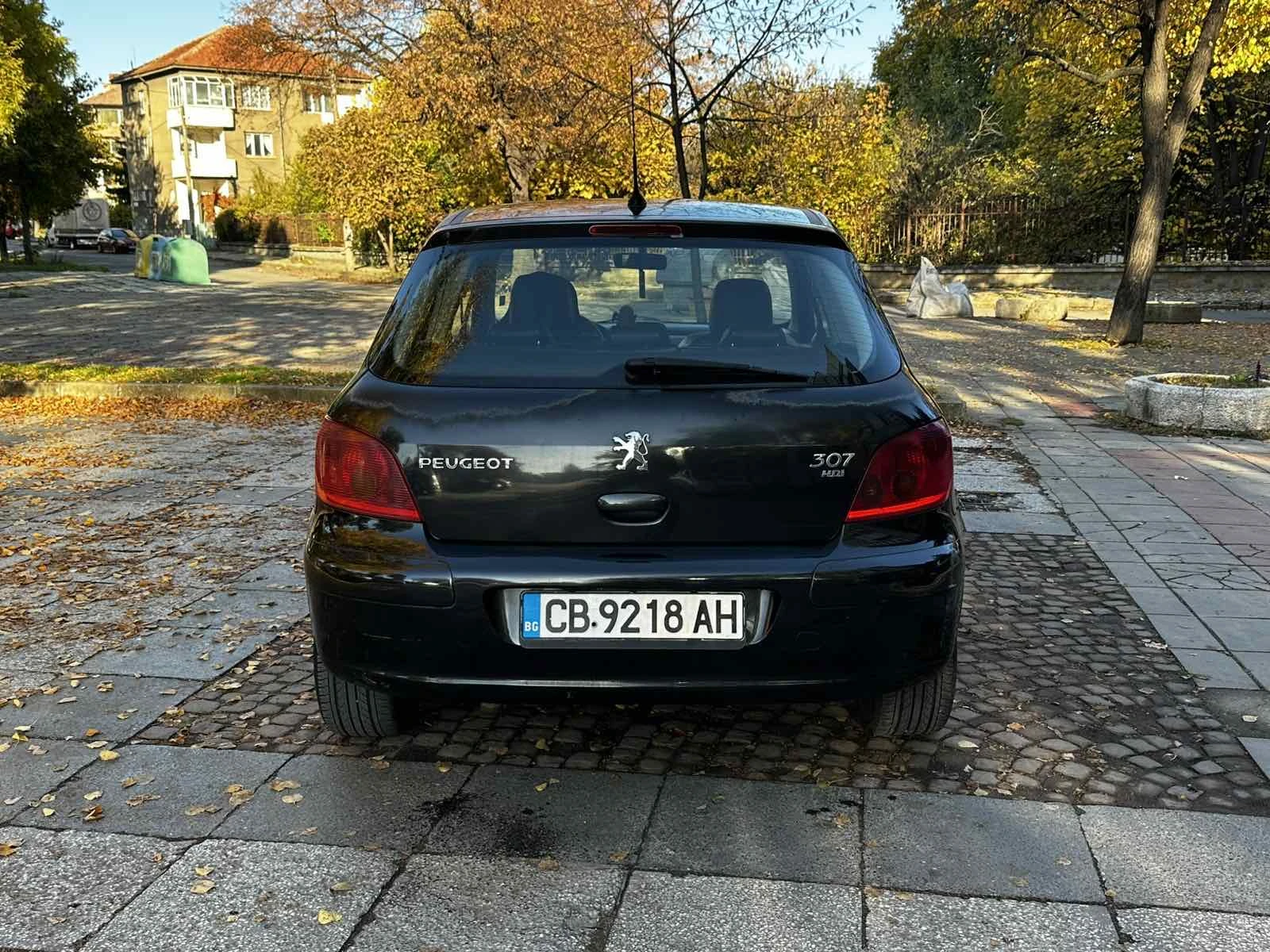 Peugeot 307, снимка 5 - Автомобили и джипове - 56725019