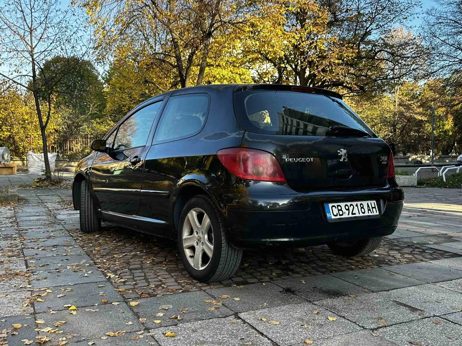 Peugeot 307, снимка 6 - Автомобили и джипове - 56725019