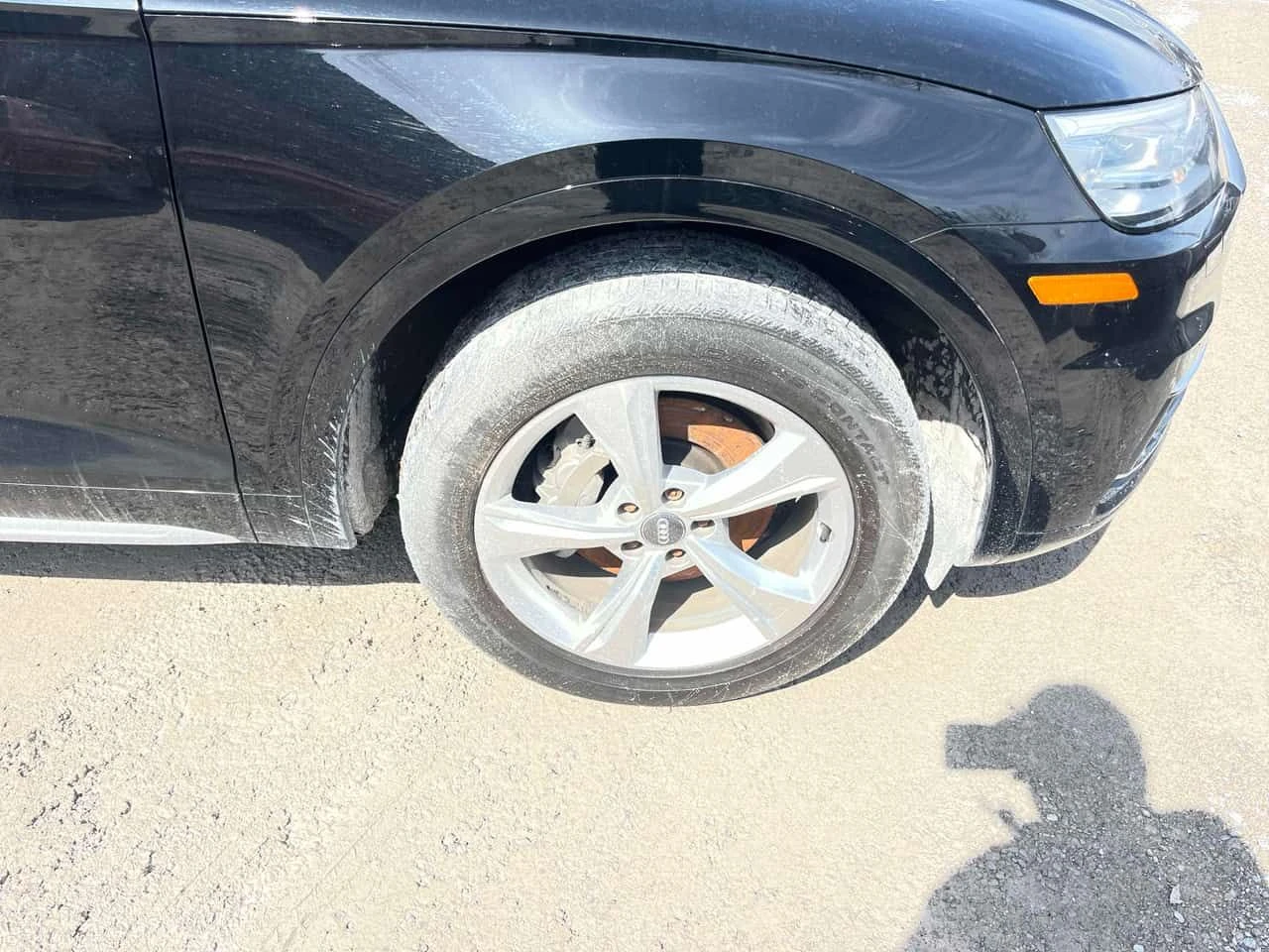 Audi Q5 Progressiv/PANO/360/ПРЕДСТАВИТЕЛСТВО НА AUDI, снимка 6 - Автомобили и джипове - 53980950