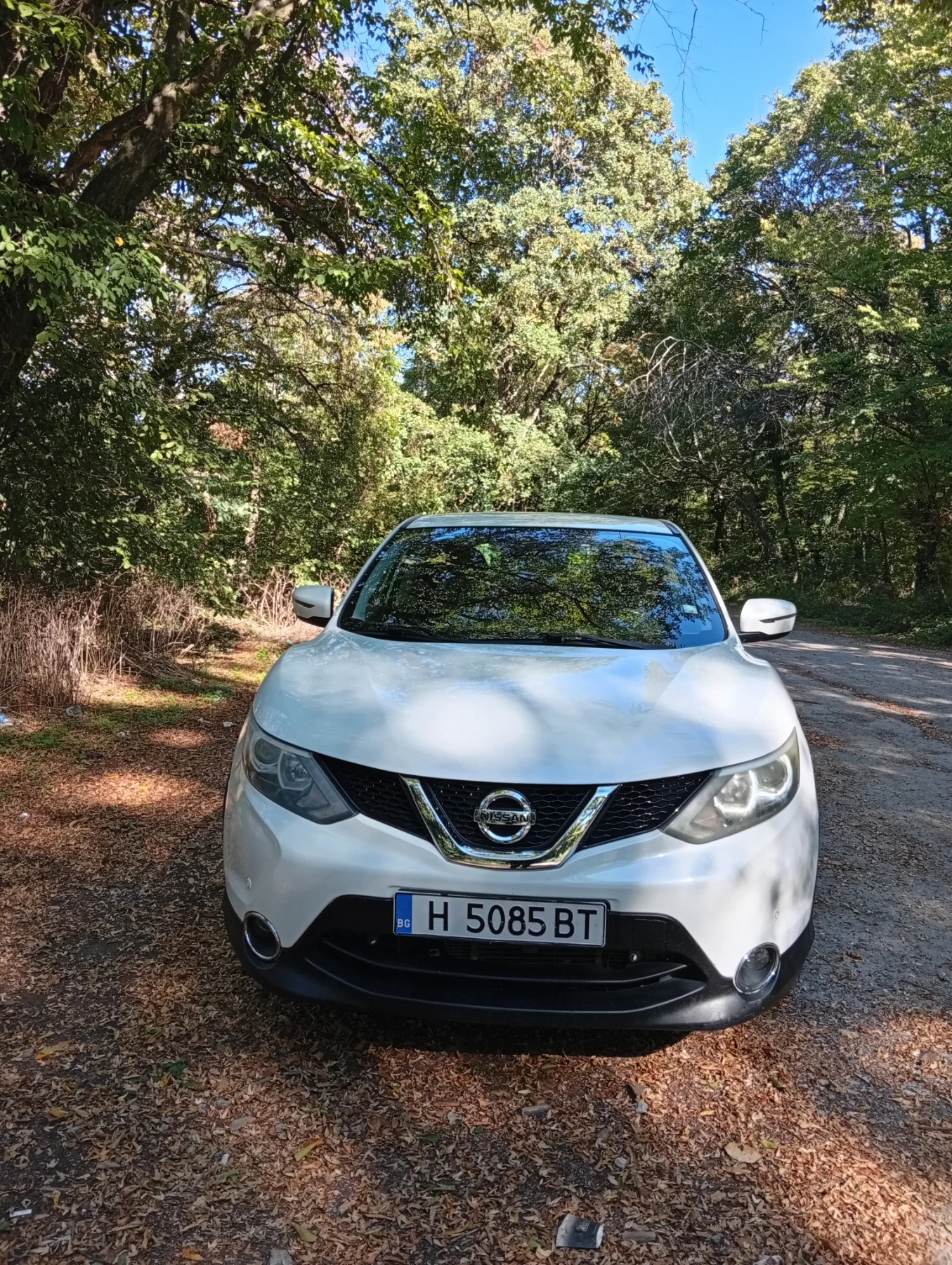 Nissan Qashqai N1, снимка 2 - Автомобили и джипове - 56416080