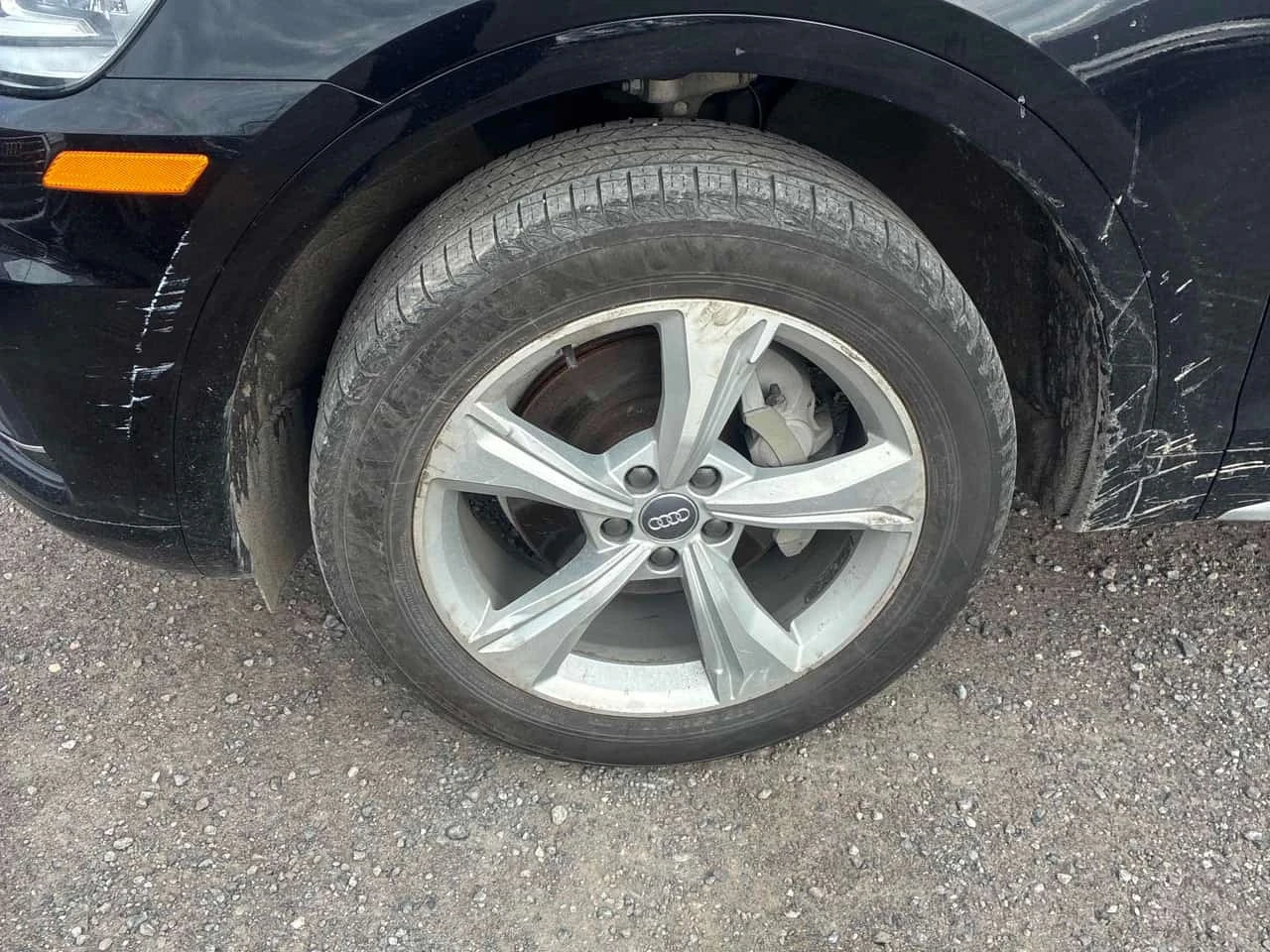 Audi Q5 * Progressiv * CARFAX * ���� �� �� | Mobile.bg � ����������� 12