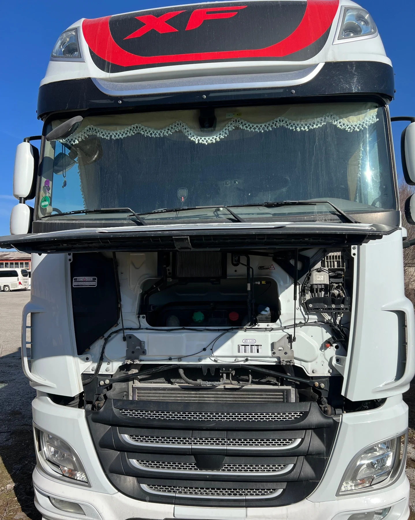 Daf XF XF480 Mega  | Mobile.bg � ����������� 14