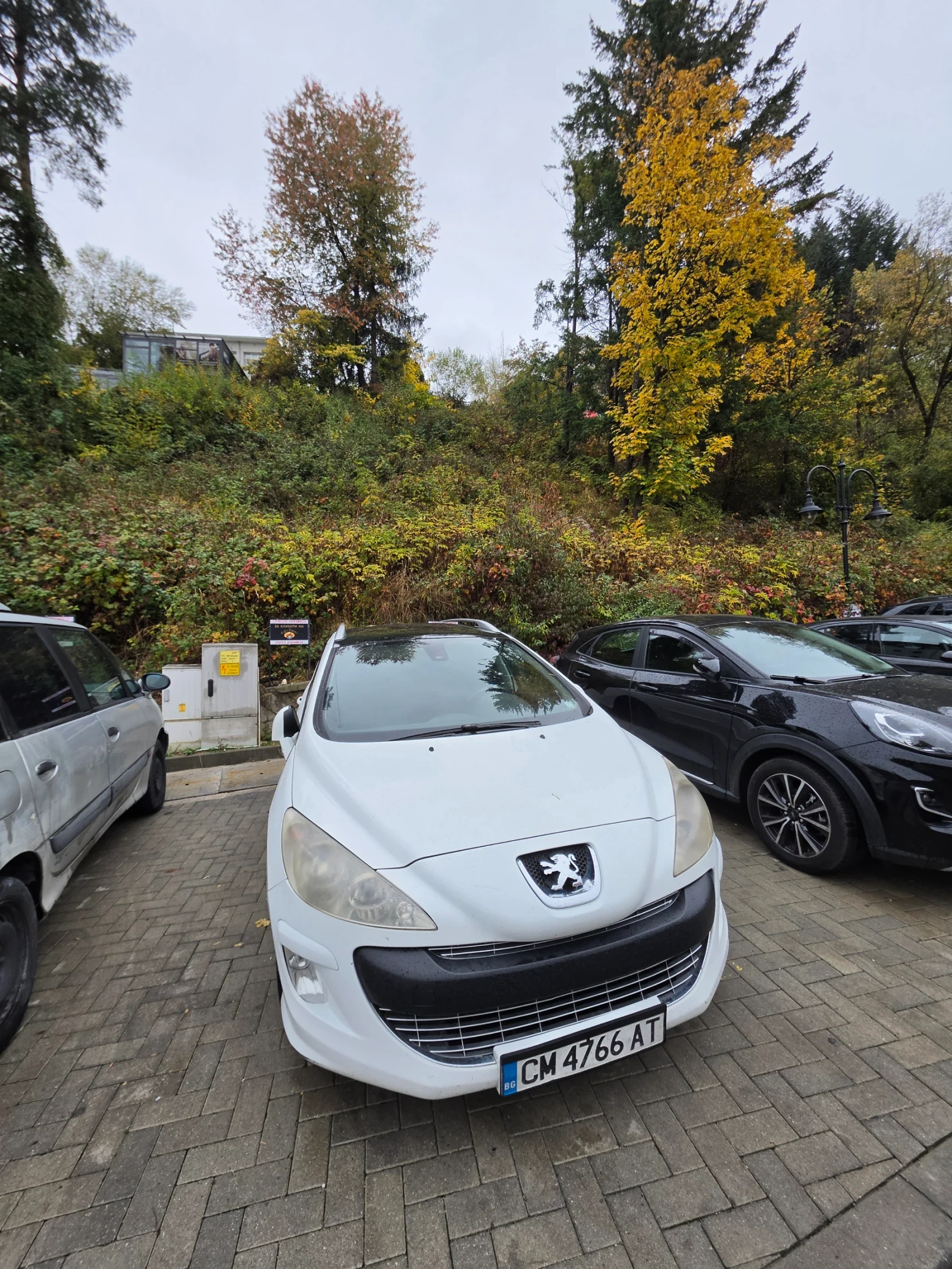 Peugeot 308, снимка 3 - Автомобили и джипове - 56475208