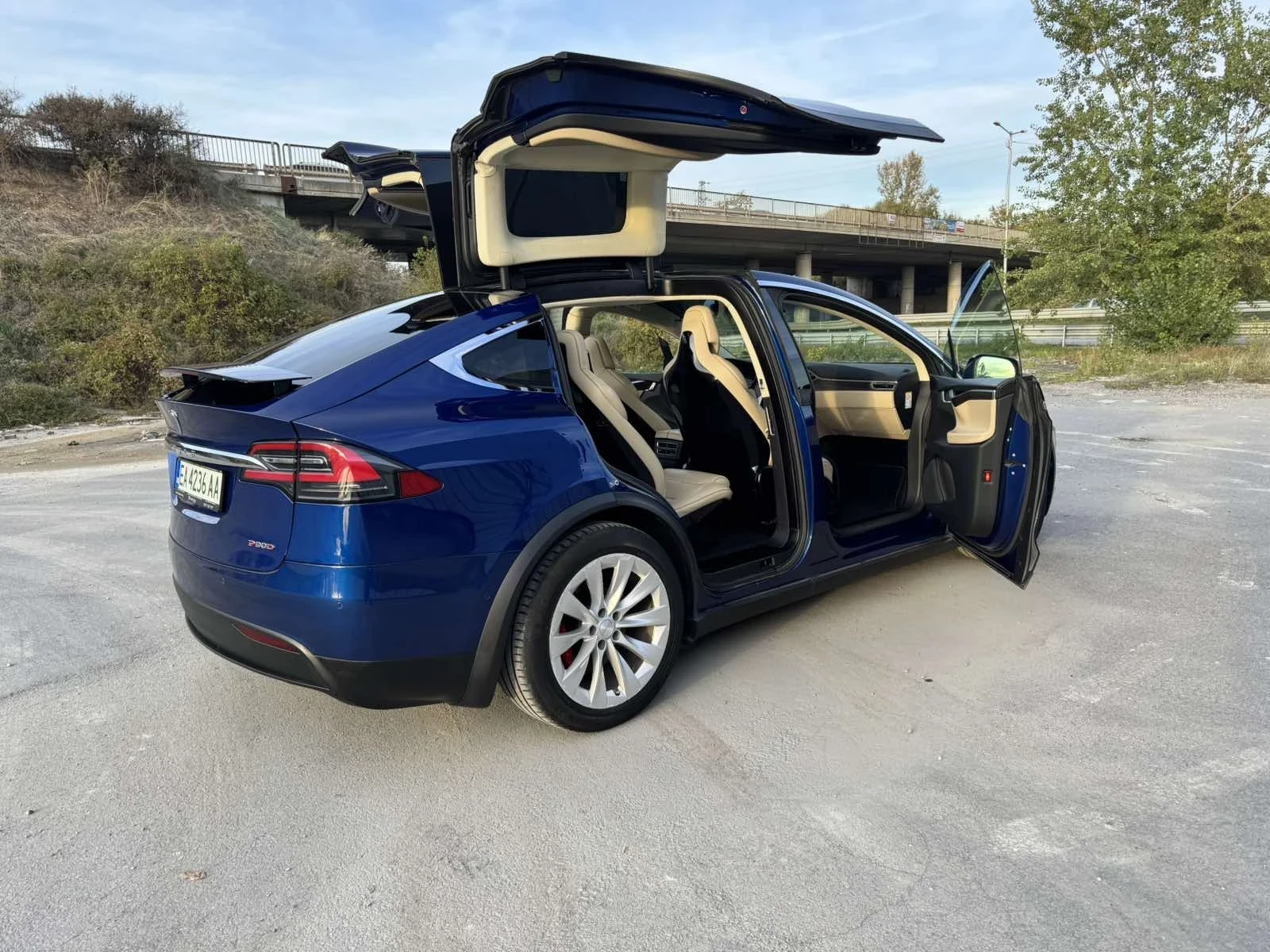 Tesla Model X P90 - изображение 4
