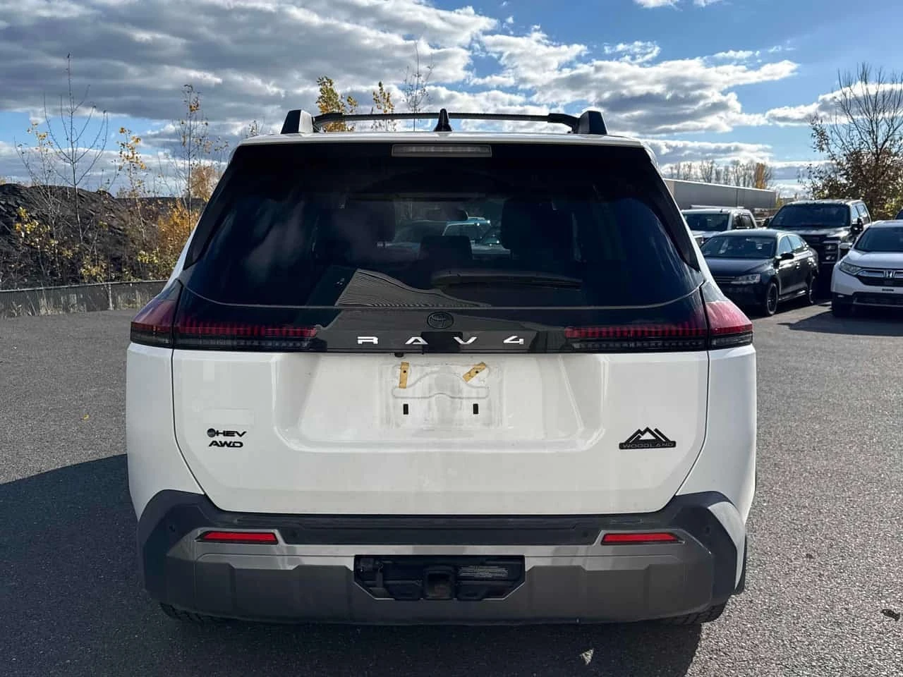 Toyota Rav4 Woodland Editon / Carfax / ����������  | Mobile.bg � ����������� 4