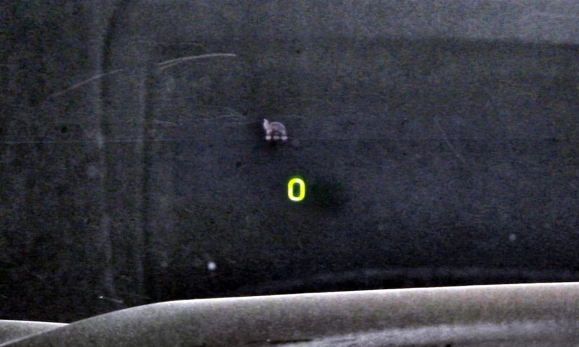 Hyundai Palisade Gasoline 3.8 4WD Calligraphy | Mobile.bg   15