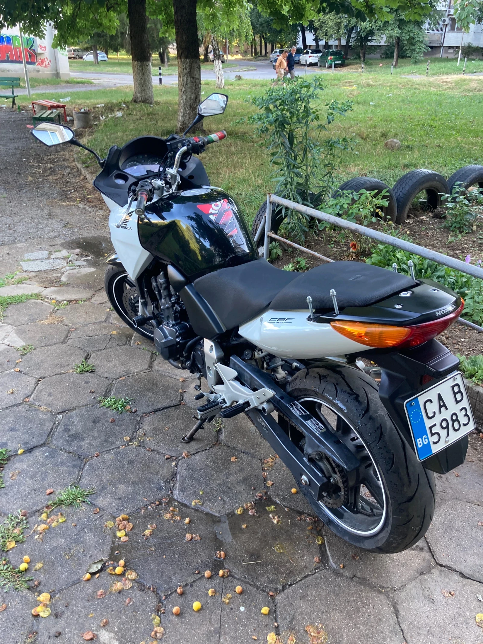 Honda Cbf  - изображение 5