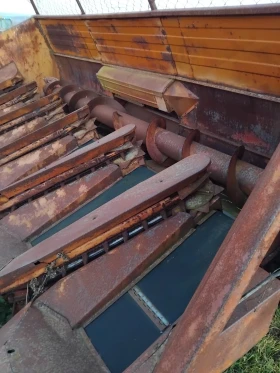 Хедер Нива, снимка 6