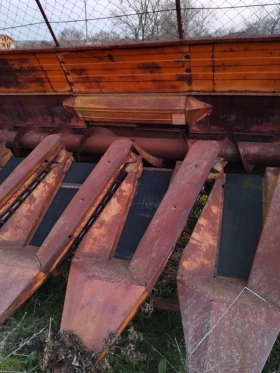 Хедер Нива, снимка 3