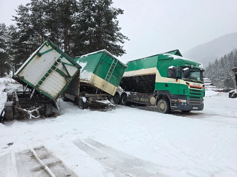 Scania R 420 За трици/чипс, снимка 3 - Камиони - 53074400