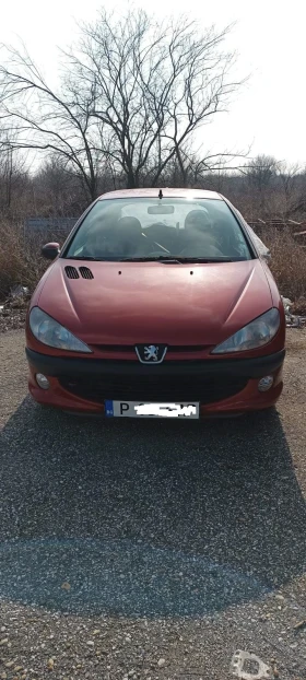  Peugeot 206