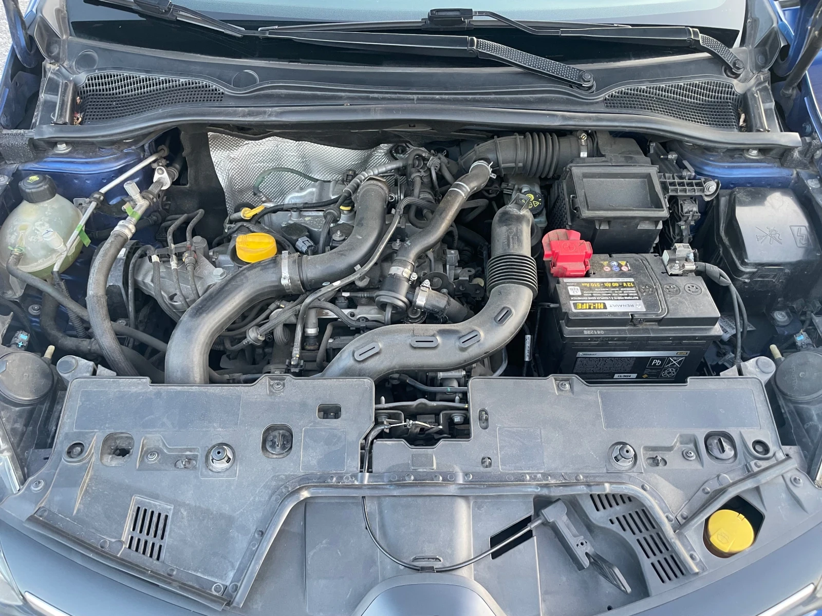 Renault Clio ������ EURO6 LED MOSCHINO  | Mobile.bg � ����������� 15